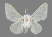 AZ26-0034R